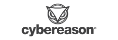 cybereason