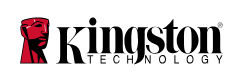 Kingston Technology